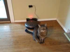 Easy Home Robotic Vacuum