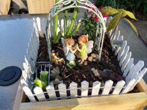 Gardenline Fairy Garden Kit