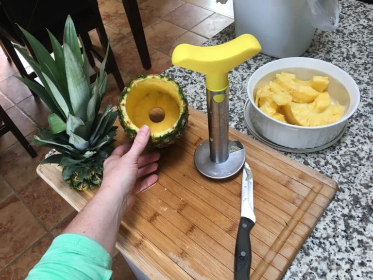 Crofton Pineapple Slicer