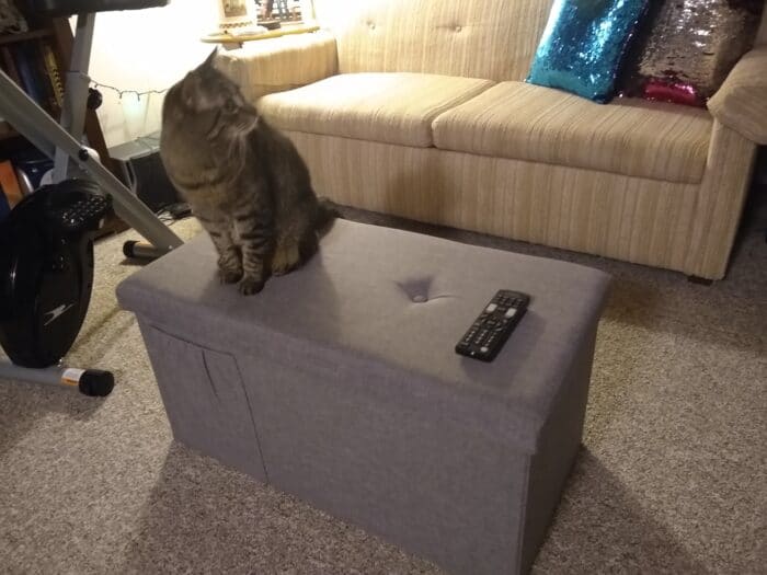 SOHL Furniture Rectangular Storage Ottoman