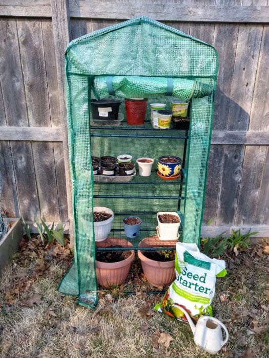 Gardenline 4-Tier Greenhouse
