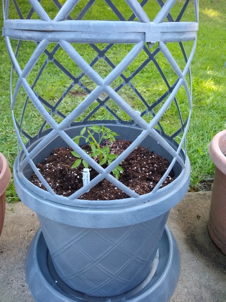 Gardenline Lattice Planter