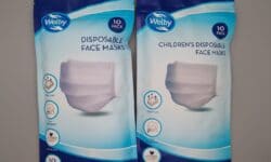 Welby Disposable Face Mask