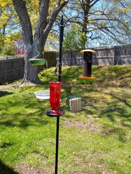 Gardenline Bird Feeding Station
