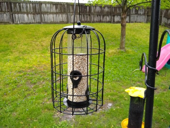 Gardenline Caged Bird Feeder