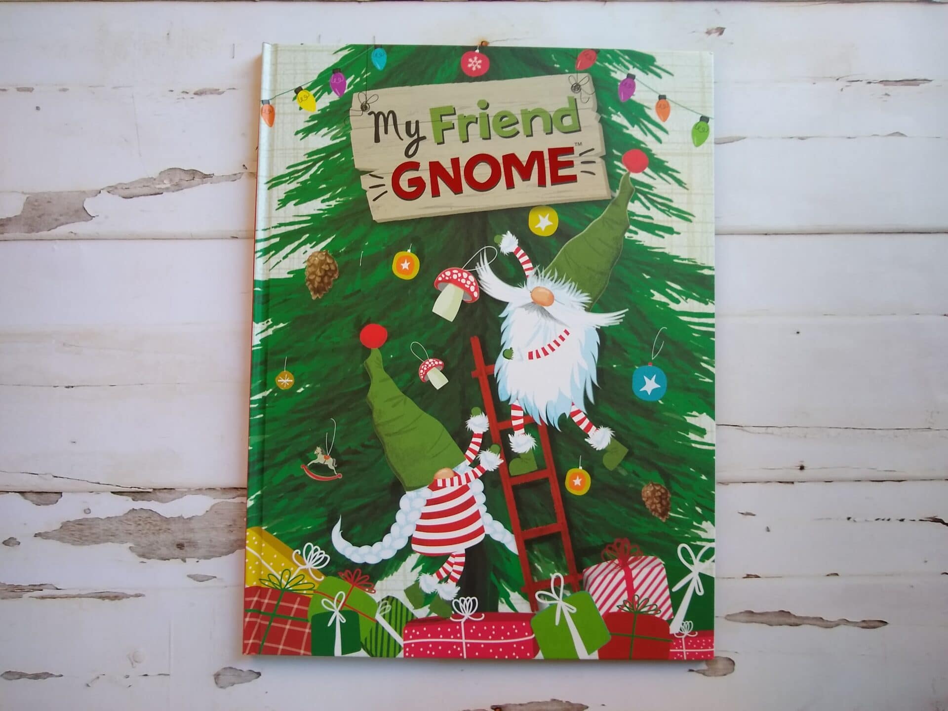 Aldi My Friend Gnome Kit | ALDI REVIEWER Aldi My Friend Gnome Kit | ALDI REVIEWER
