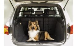 Heart to Tail Vehicle Pet Barrier