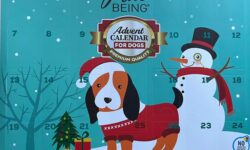 Heart to Tail Pure Being Dog Advent Calendar