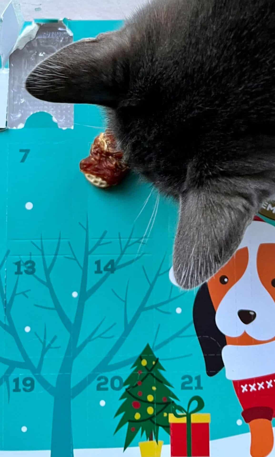 Aldi Dog Advent Calendar - Printable Calendar