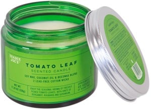 Tomato Leaf Scented Candle
