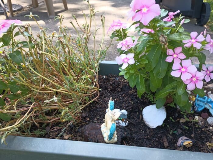 Is Aldi Gardenline Garden Soil Any Good