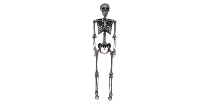 The Halloween Collection 5 Foot Posable Skeleton