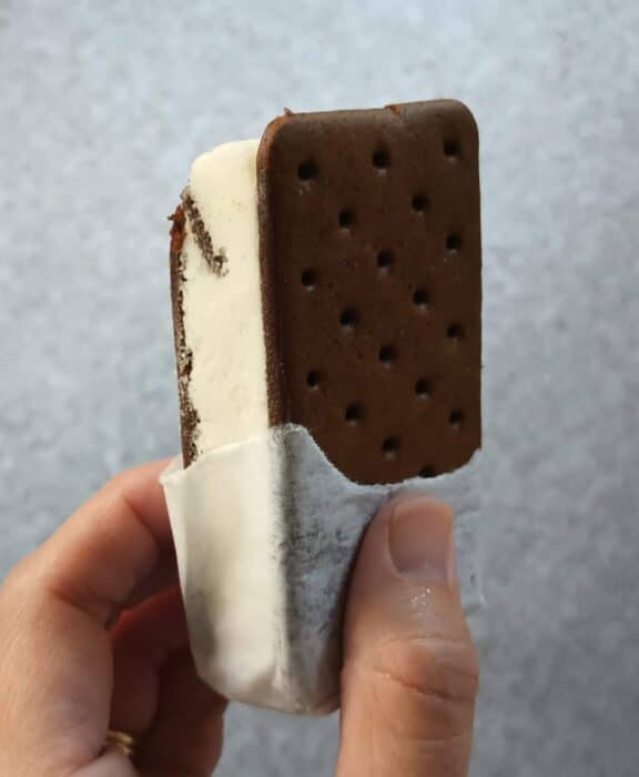 Trader Joe's Oat Non-Dairy Frozen Dessert Sandwiches