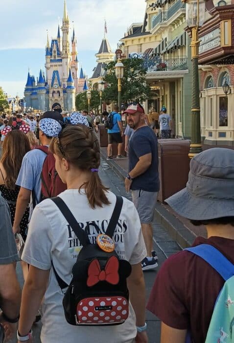 Aldi Products at Disney World