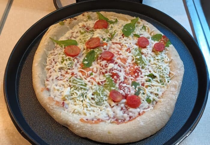The Ambiano The Everything Pizza Grill