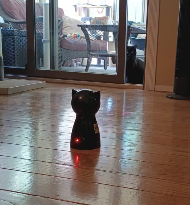 Heart to Tail Cat Laser 