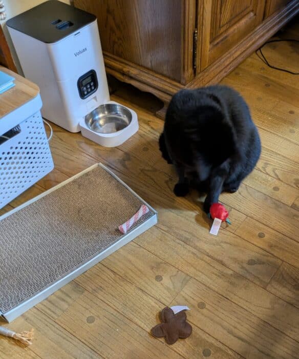 Heart to Tail Cat Toy Advent Calendar 7
