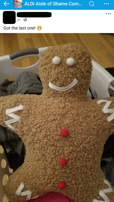 Aldi gingerbread pillow