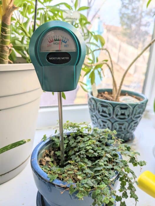 Gardenline Moisture Meter