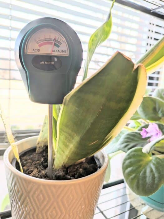 Gardenline PH Meter 2