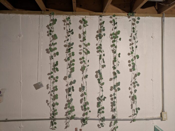 KIRKTON HOUSE Curtain Lights 2