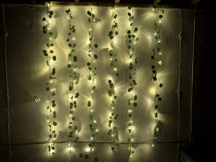 KIRKTON HOUSE Curtain Lights