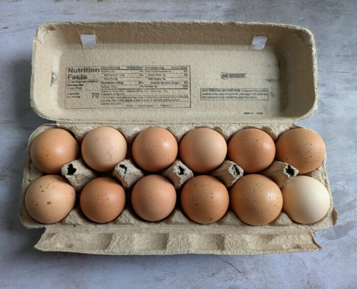 Goldhen Pasture Raised Eggs