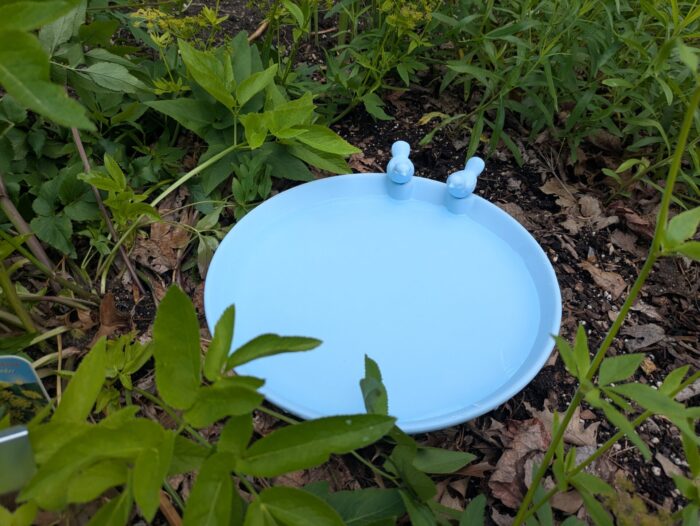 Belavi Bird Drinking Trough 4