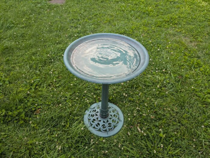 Belavi Bird Bath